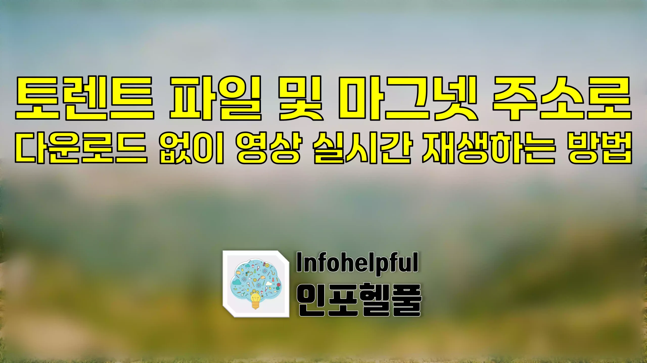 토렌트 파일 및 마그넷 주소로 다운로드 없이 영상 실시간 재생 하는 방법