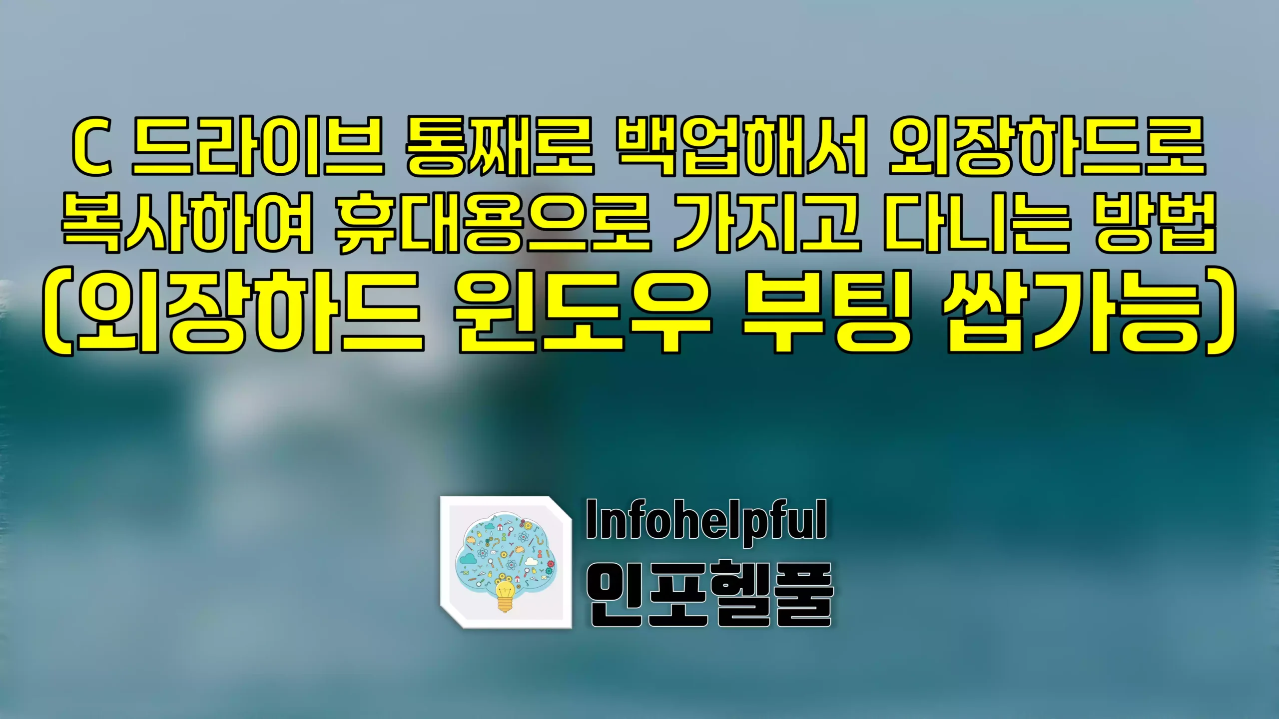 C 드라이브 통째로 백업해서 외장하드로 복사하여 휴대용으로 가지고 다니는 방법(외장하드 윈도우 부팅 쌉가능)